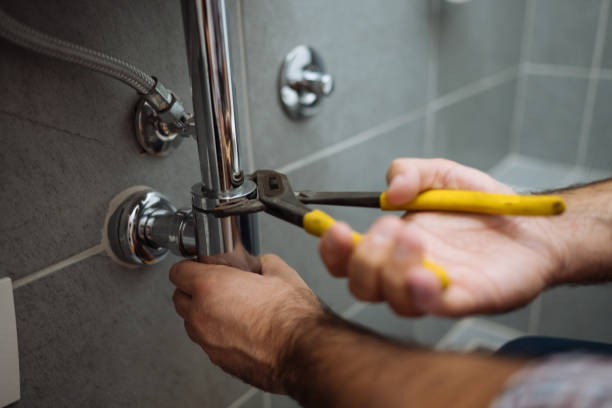 Best Toilet Repair Services  in Pioche, NV